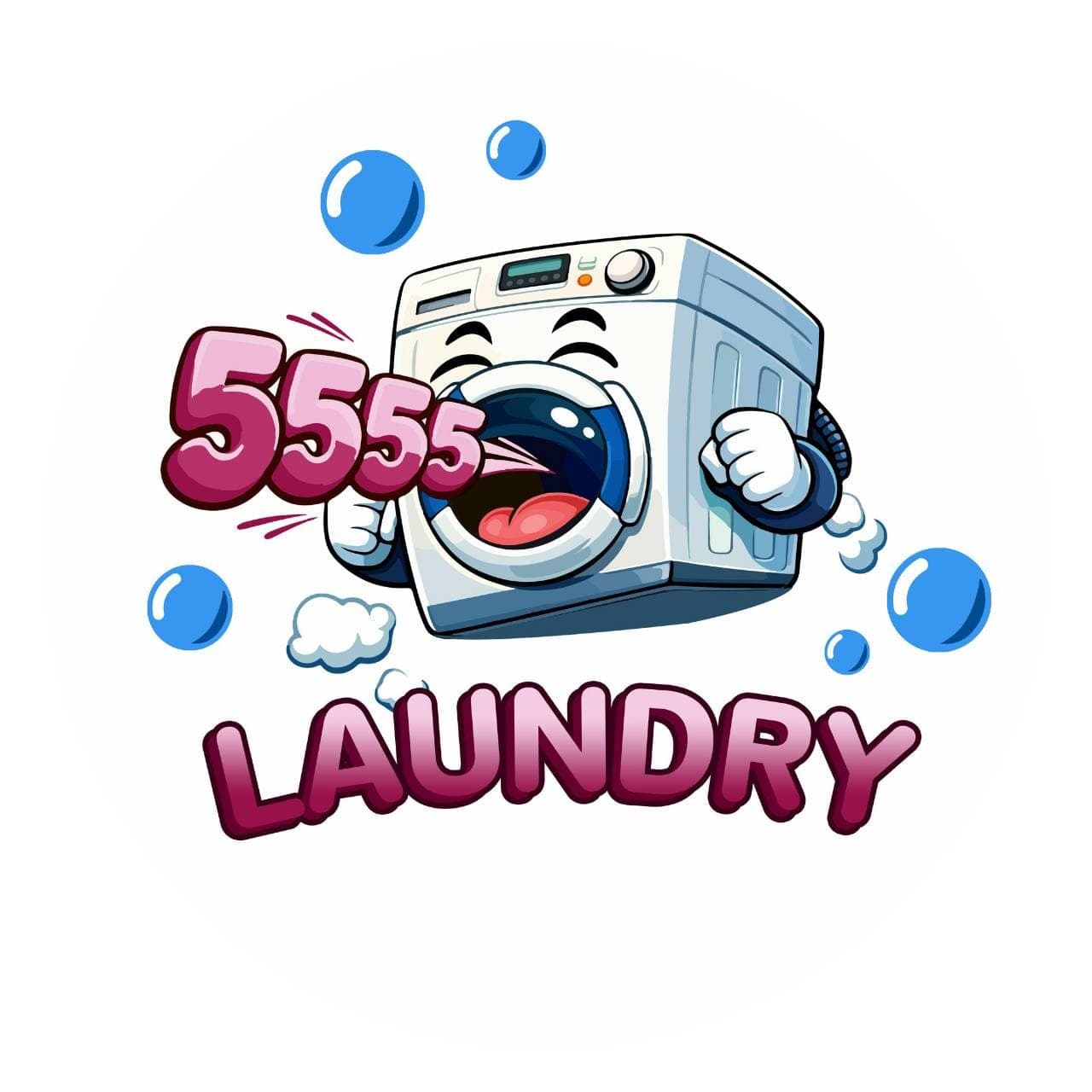 Laundry 555 Banner